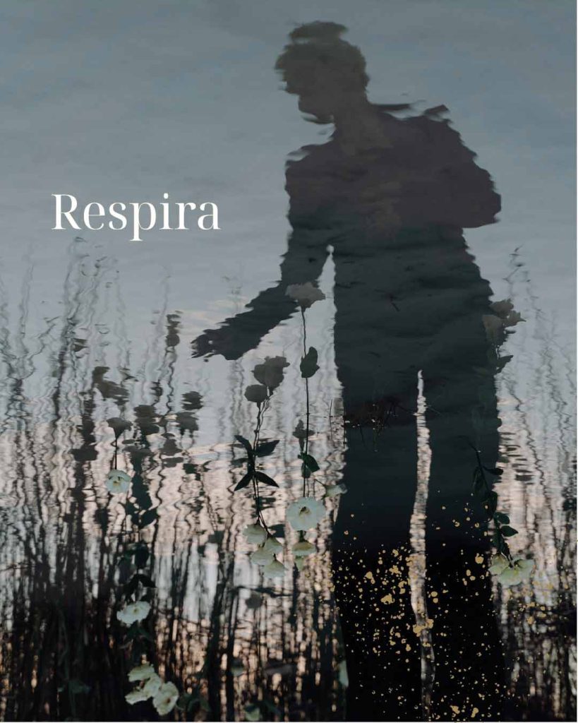 Kit de marca Aura Mindfulness