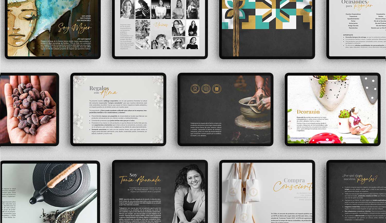 Portafolio aleroman WS brochure
